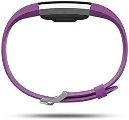 Fitbit Charge 2 Freqüência cardíaca + pulseira de fitness