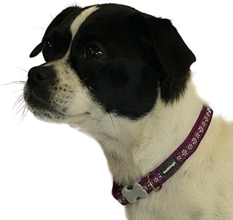 Red Dingo Designer Dog Collar, Grande, Chain Daisy Purple