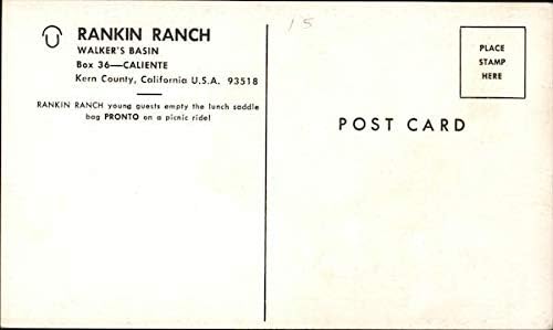 Bacia de Walker do Rankin Ranch, Kern County Caliente, Califórnia CA Original Vintage Post cartão