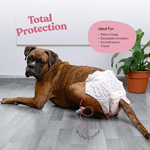 Fraldas de cães super absorventes - fraldas de cachorrinho descartáveis ​​de 50 pacotes - Tecnologia de gel de flashdry e indicador
