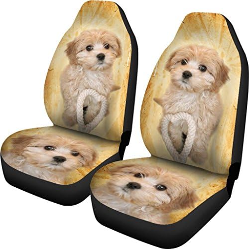 Capas de assento de carro com impressão de cachorro Cavapoo
