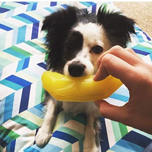 Brinquedo para cachorro de tratamento de banana para filhotes corajoso | Preencha com guloseimas saudáveis ​​para um desafio