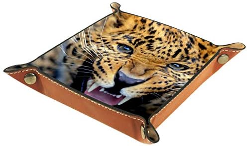 Lorvies Leopard Retrato Storage Box Cube Bins Bins Bins para Office Home