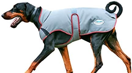 Weatherbeeta comfitec premier grátis parka de luxo casaco de cachorro médio