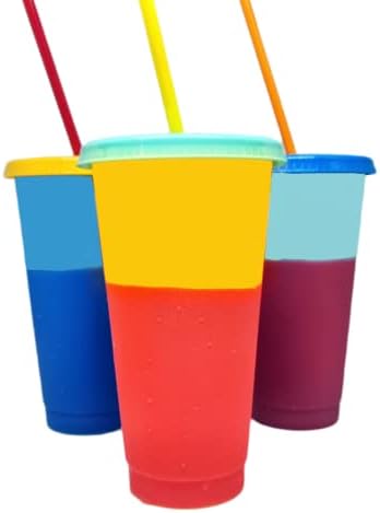 24oz de copos de cor de cor pacotes em 6 Tumbler com palha e copos reutilizáveis ​​Tumbler para Copa de Travel para festas Aniversários