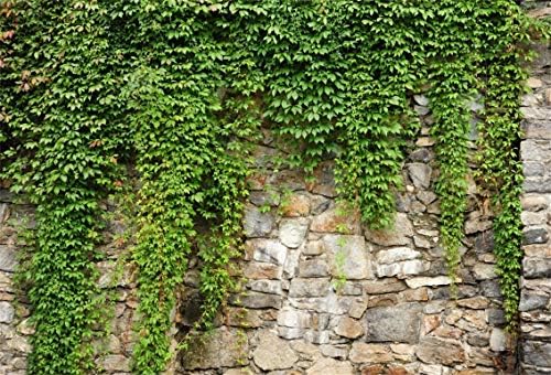 Leyiyi 5x3ft jardim de primavera folhas de pano de fundo plantas de jardinagem grunge parede de pedra bandeira de vegetação