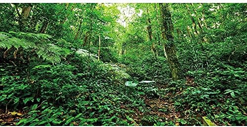 AVENTE 24X12 POLEGADAS Cenário tropical Terrário Antecedentes plantas tropicais Aquário florestal Fundamento de répteis de répteis de réptil Vinil