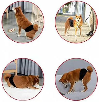 Cachorro de cachorro de cachorro macho pet fraldas de fraldas de barriga banda de banda fisiológica Pant UK