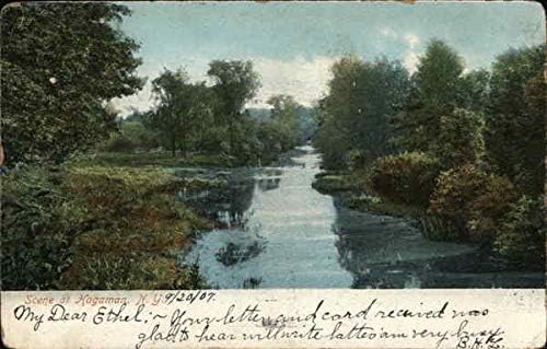Cena do rio Hagaman, Nova York NY Original Antique Cartão Post 1907