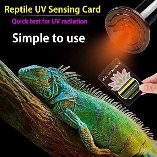 4 PCs Reptile Tester UV Quick UV, 2 PCs Testador UVB e 2 PCS Cartadores de testador UVC, Indicador de cartão fotoquromico da lâmpada