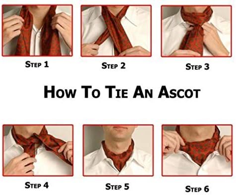 Gusleson Men's Ascot Paisley Floral Jacquard Tecla Cravat Tie e Pocket Square Set