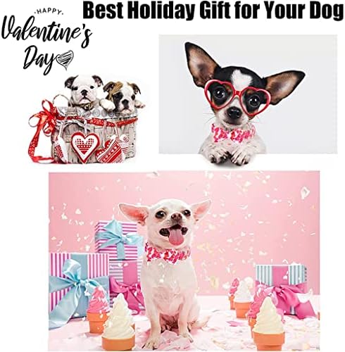 Hfdgdfk Valentine Pink Heart Dog Collar com colar de cachorro de gravata borbole