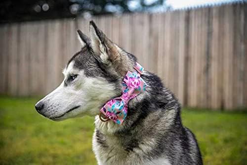 Glória LionHeart Glória Floral Rose Print Dog Collar Gollar Ajusta Dog com Cojeira, colares de animais de estimação