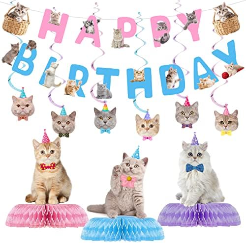 16 PCS FESTIDAS DE FESTO DE BINNIMALMEIalmenteças de gato, decorações para festas de gato, decorações de festa de aniversário