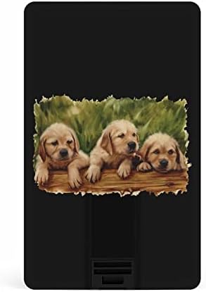 Cartão de crédito Golden Retriever Drives USB Drives Flash personalizados Ptick Key Gifts Corporate e brindes promocionais