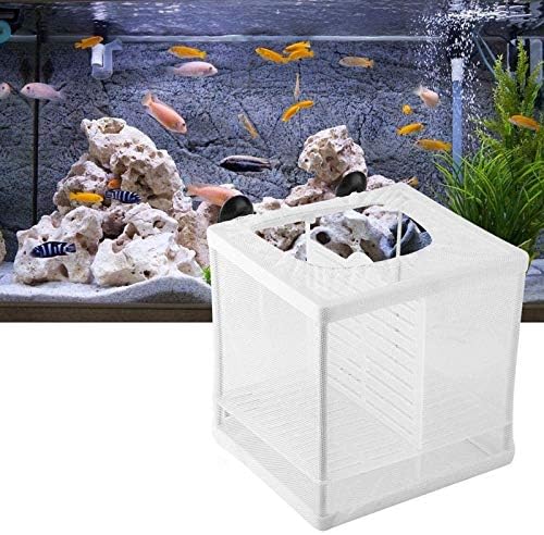 Tamanho pequeno de peixe Caixa de criação de incubatório Caixa de peixe Caixa de peixes Caixa de aquário de aquário Fry