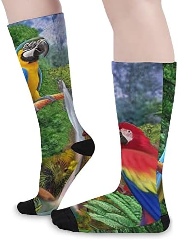Papagaios tropicais Socks coloridos de colorido Sports Slow Meocks High Socks para adolescentes adultos
