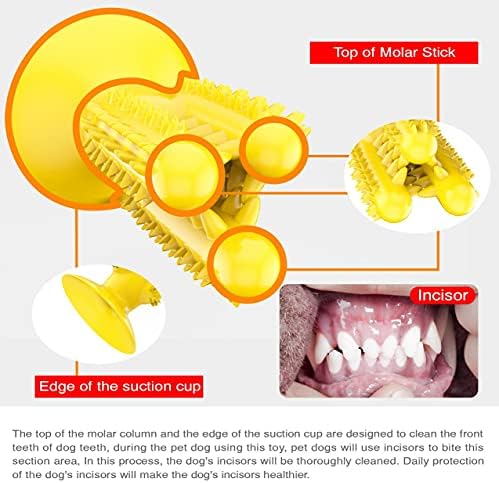 Pata de pata de cachorro amarelo de dentes de dentes de dentes mastigação - Too de dentes de dentes de brinquedo de dentes de brinquedo de dentes de dentes/brinquedos de limpeza de dentes para cães/filhote de filhote de filhote para garantir sua saúde bucal e higiene dental