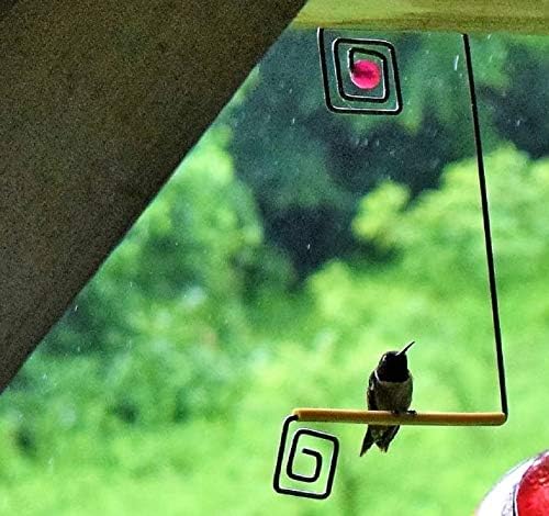 Metal Hummingbird Swing pendurando poleiro com atração de contas vermelhas e gancho pendurado