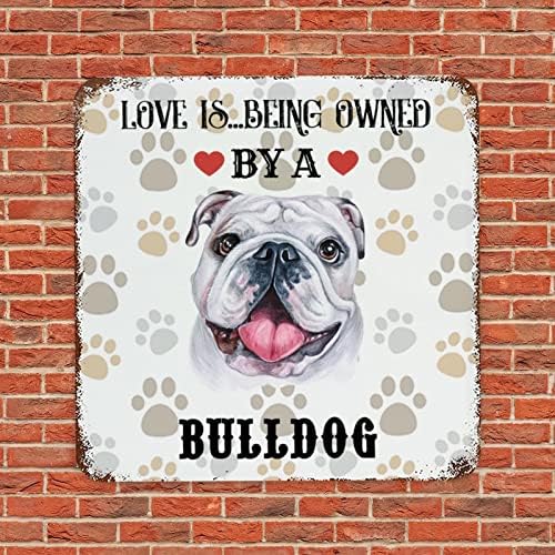 Funny Dog Metal Tin Sign Love é pertencer a um cachorro com cão de cão de pet -welcome sigil vintage pub café sinal placa retrô de metal