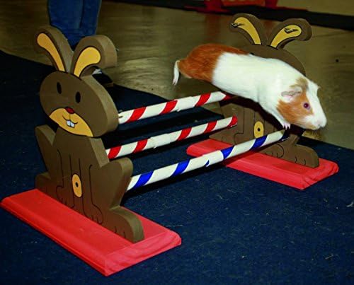 Obstáculos de roedores da agilidade Kerbl, 62 x 33 x 34 cm